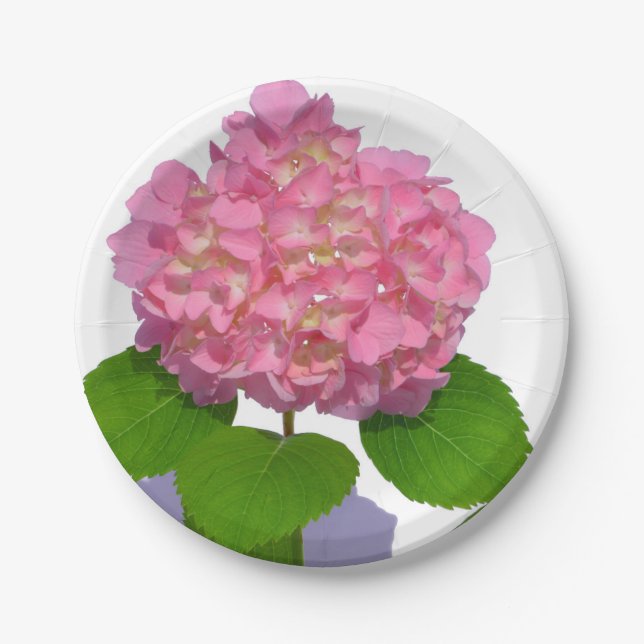 Assiettes En Carton Hydrangée rose rose fleur rose (Devant)