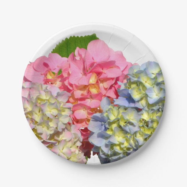 Assiettes En Carton Hydrangées florales rose pâle bleu jaune vert (Devant)