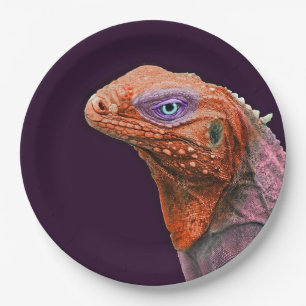 Assiettes En Carton Iguana Orange Photo