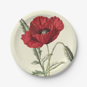 Assiettes En Carton Illustration botanique vintage de pavot commun