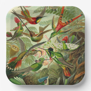 Assiettes En Carton Illustration du colibri par Ernst Haeckel