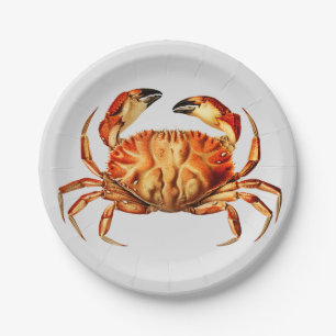 Assiettes En Carton Illustration du crabe de Dungeness Vintage