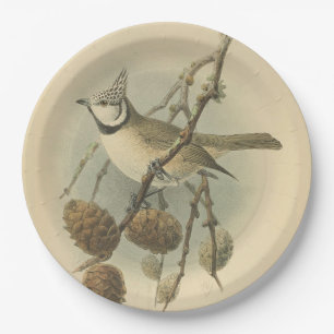 Assiettes En Carton Illustration vintage de mésange huppée d'Europe