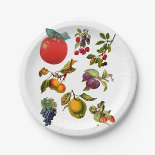 Assiettes En Carton Illustrations botaniques du jardin de fruits vinta