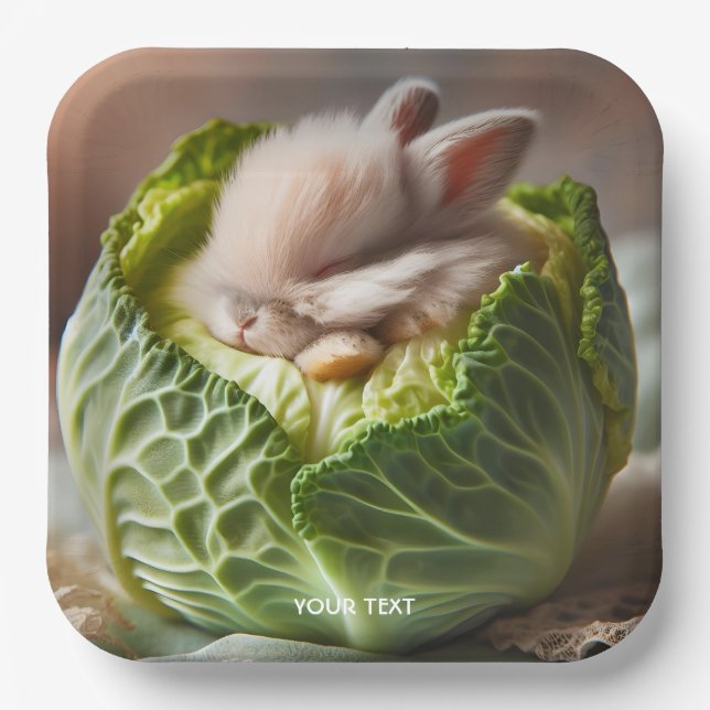 Assiettes En Carton Imaginaire mignonne lapin lapin chou (Recto)