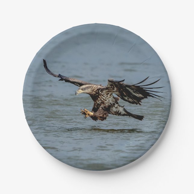 Assiettes En Carton Immature Bald Eagle plongée pour un poisson (Devant)
