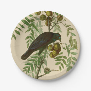 Assiettes En Carton Impression d'oiseau Grackle violet d'Audubon Botan