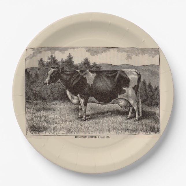 Assiettes En Carton Impression du 19e siècle Holstein heifer (Devant)
