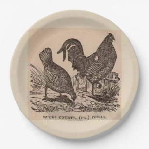 Assiettes En Carton Imprimé au 19e siècle Bucks Comté poulets poulets