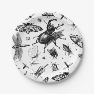 Assiettes En Carton Insectes agrées