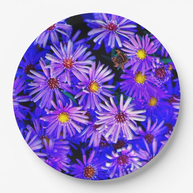 Assiettes En Carton Jardin d'Aster en pleine floraison (Devant)