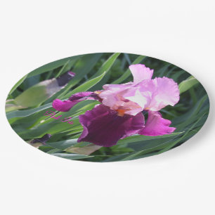 Assiettes En Carton Jardin rose magenta Iris baisé au soleil