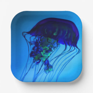 ASSIETTES EN CARTON JELLYFISH 2