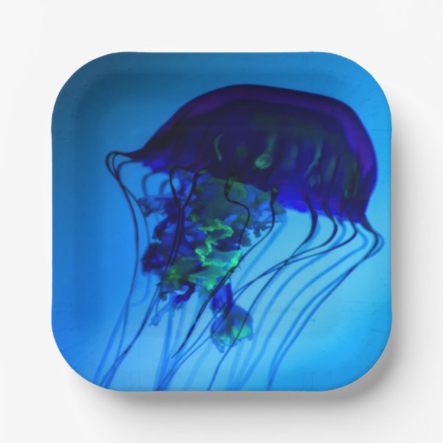 ASSIETTES EN CARTON JELLYFISH 2 (Recto)