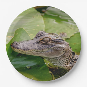 Assiettes En Carton Jeune alligator