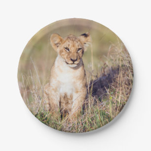 Assiettes En Carton Jeune lion