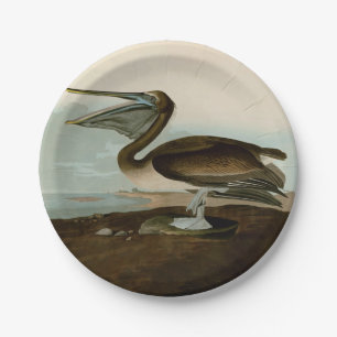 Assiettes En Carton John James Audubon Peinture Pélicane Brown
