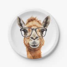 Joli chameau avec lunettes