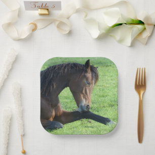 Assiettes En Carton Joli Cheval Brown allongé dans l'herbe