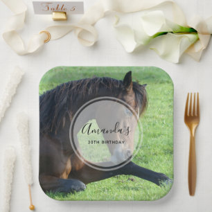 Assiettes En Carton Joli Cheval Brown allongé dans l'herbe Anniversair