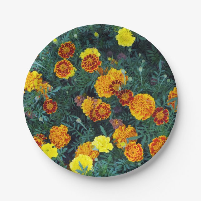 Assiettes En Carton Joli Orange Marigolds Floral Photo (Devant)