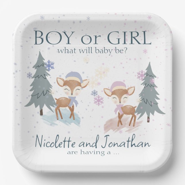 Assiettes En Carton Jolie Bois Cerf Hivernal Bébé Genre Révélation (Recto)