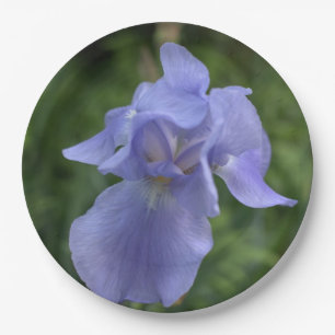Assiettes En Carton Jolie ceinture bleue Iris Fleur