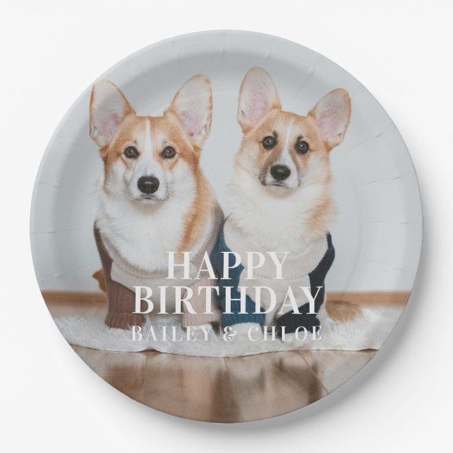 Assiettes En Carton Jolie fête d'anniversaire pour animaux de compagni (Devant)