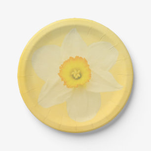 Assiettes En Carton Jonquille jaune