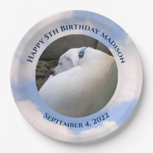 Assiettes En Carton Jote Chien Chien Dormant Ciel bleu 5e anniversaire