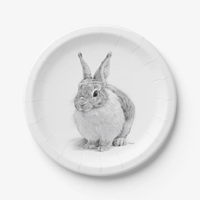 Assiettes En Carton Journée du lapin (Devant)