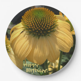 Assiettes En Carton Joyeuse Echinacea d'anniversaire