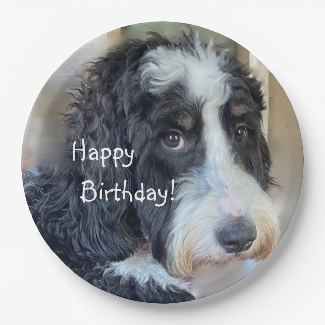 Assiettes En Carton Joyeux anniversaire adorable Bernedoodle (Devant)