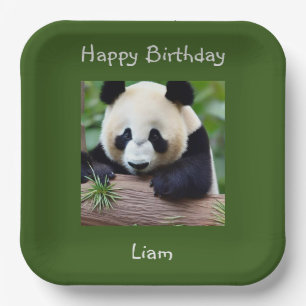 Assiettes En Carton Joyeux Anniversaire Cute Panda