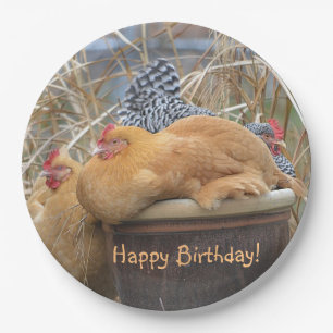 Assiettes En Carton Joyeux Anniversaire Drôle des poulets