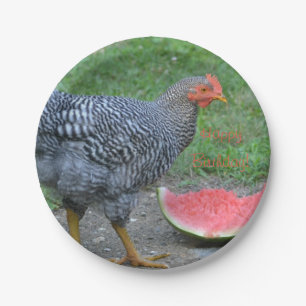 Assiettes En Carton Joyeux Anniversaire Le poulet aime la pastèque