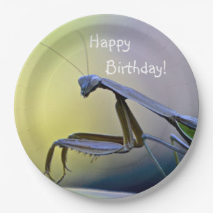 Assiettes En Carton Joyeux Anniversaire priant Mantis