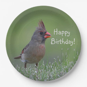 Assiettes En Carton Joyeux Cardinal d'anniversaire