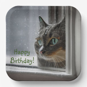 Assiettes En Carton Joyeux Chat Kitty Anniversaire
