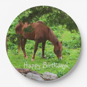 Assiettes En Carton Joyeux Cheval d'anniversaire