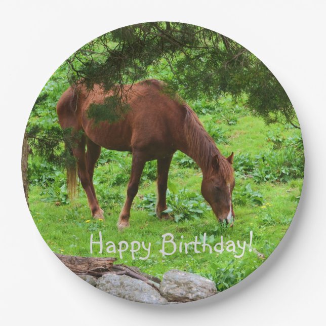 Assiettes En Carton Joyeux Cheval d'anniversaire (Devant)