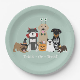 Assiettes En Carton Joyeux Costumes Éffrayants Pour Animaux De Compagn