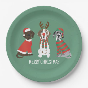 Assiettes En Carton Joyeux Noël Grands Chiens Danois