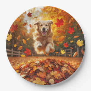 Assiettes En Carton Jumelage Golden Retriever Dans Pile Feuille
