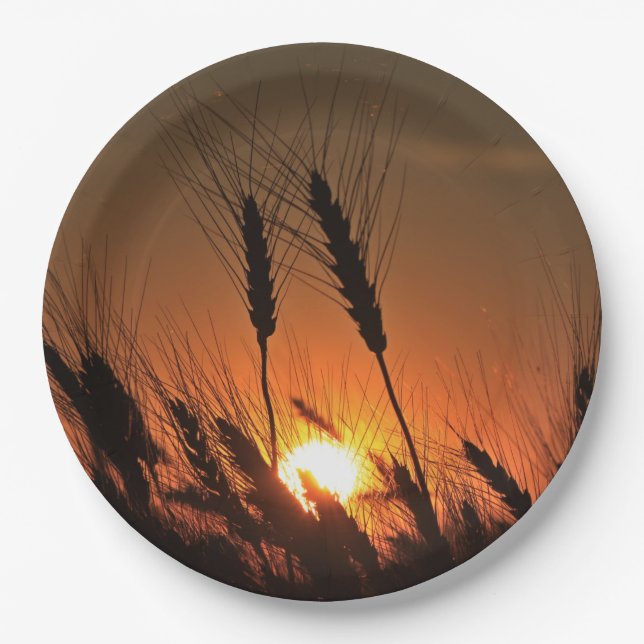 Assiettes En Carton Kansas Blé Sunset silhouette closeuse (Devant)