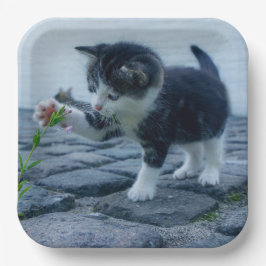 Assiettes En Carton Kitten