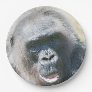 Assiettes En Carton La lueur argentée de Gorilla Biddy dans le soleil