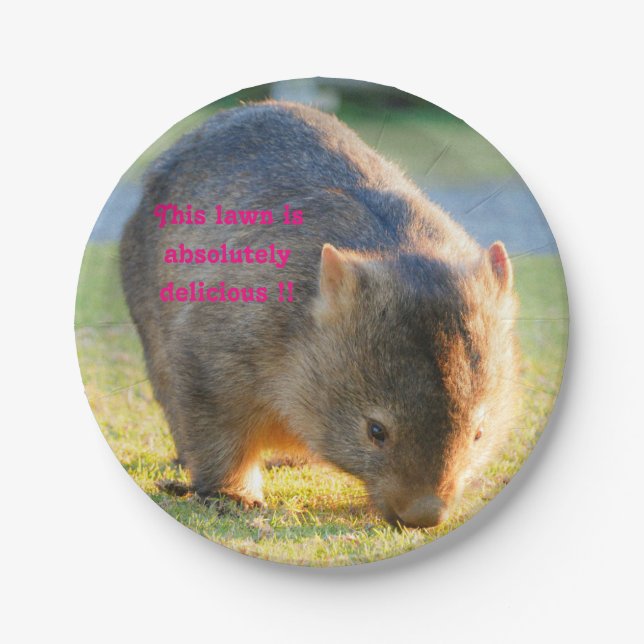 Assiettes En Carton La photographie australienne de Wombat Funny Cute (Devant)