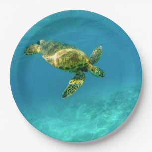 Assiettes En Carton La tortue de mer nageant dans l'eau turquoise de l