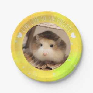 Assiettes En Carton La vie vivante pleinement - hamsters de Hammyville